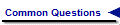 Common Questions